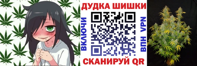 Купить закладку APVP  Cocaine  Псилоцибиновые грибы  Гашиш  Меф мяу мяу  Карачаевск