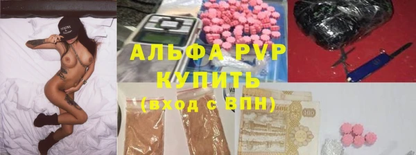 индика Заволжье