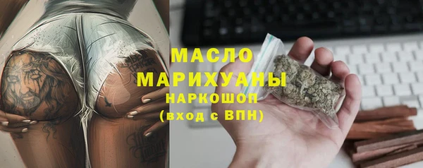 индика Заволжье