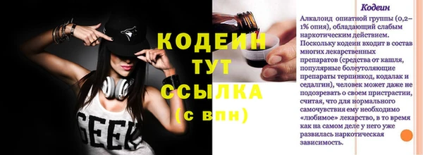 индика Заволжье