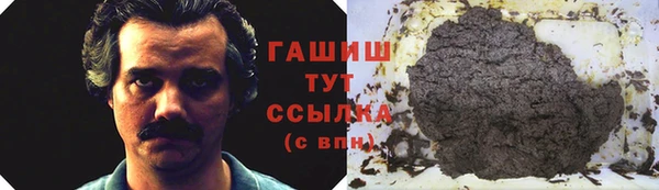 индика Заволжье