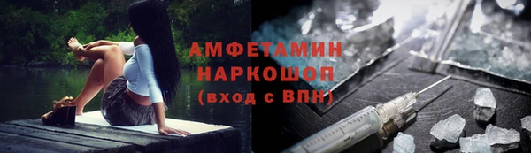 индика Заволжье