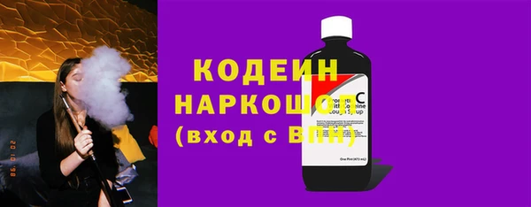 индика Заволжье