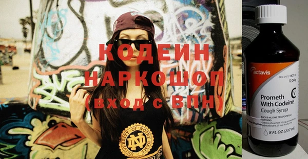 индика Заволжье