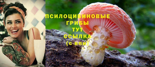 соль курить ск Заводоуковск