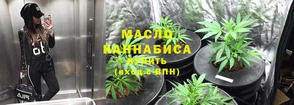 индика Заволжье