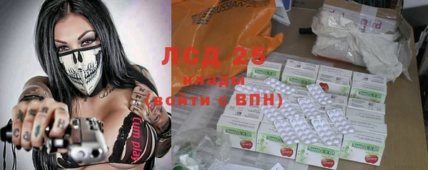 индика Заволжье