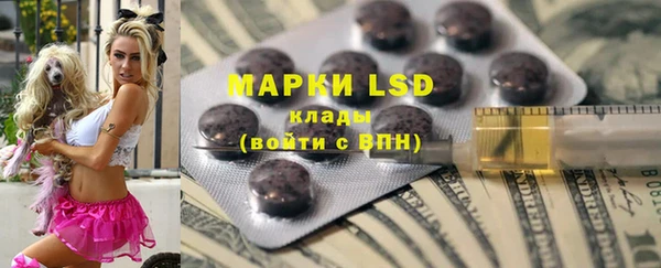 индика Заволжье