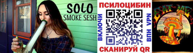 Псилоцибиновые грибы Psilocybe  Купить закладки  Карачаевск 